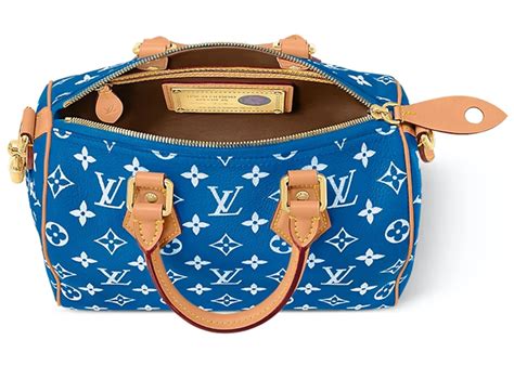 louis vuitton 25 speedy price